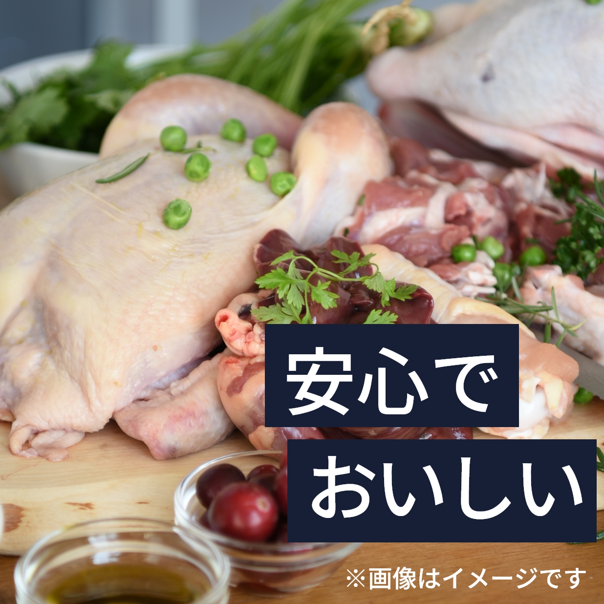 プレミアムドッグフード専門店・通販 POCHI - ポチ公式サイト POCHI ザ