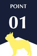POINT01