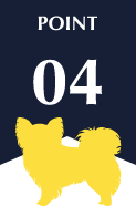 POINT04