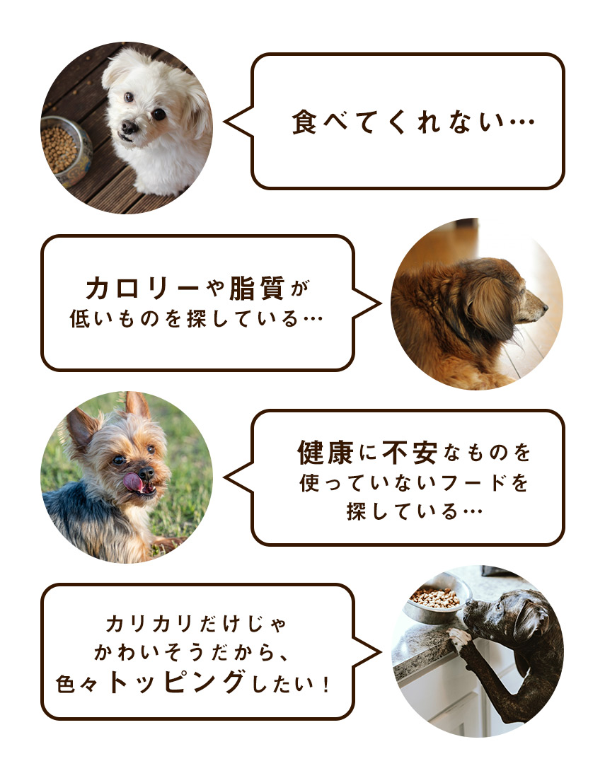 プレミアムドッグフード専門店・通販 POCHI - ポチ公式サイト