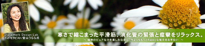カモミール