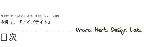 アイブライト