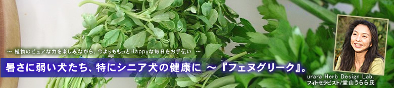 フェヌグリーク
