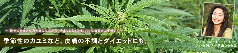 ヘンプ