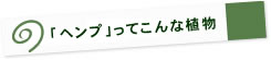 「ヘンプ」ってこんな植物