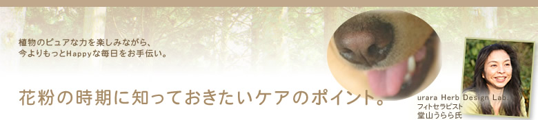 花粉の時期に