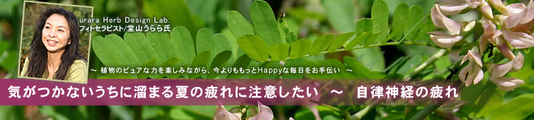 リコリス