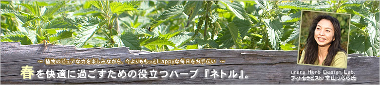 ネトル