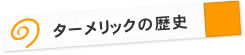 「ターメリック」の歴史