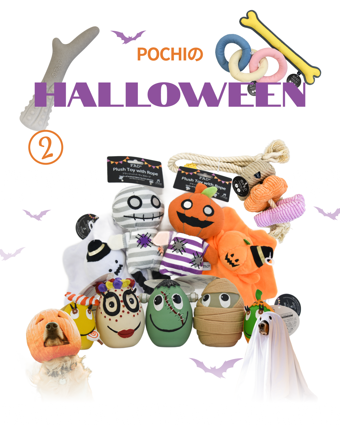 プレミアムドッグフード専門店・通販 POCHI - ポチ公式サイト