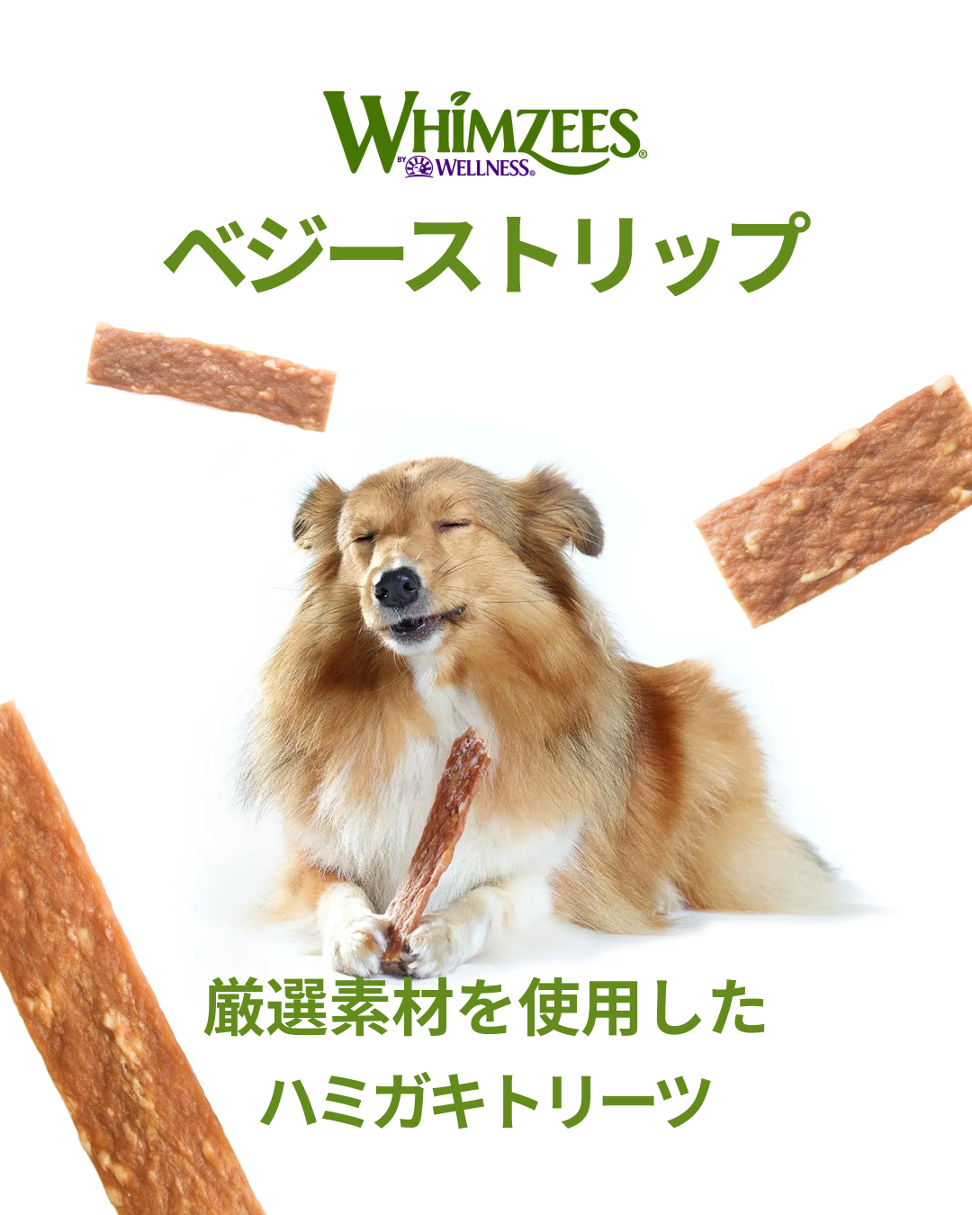 プレミアムドッグフード専門店・通販 POCHI - ポチ公式サイト