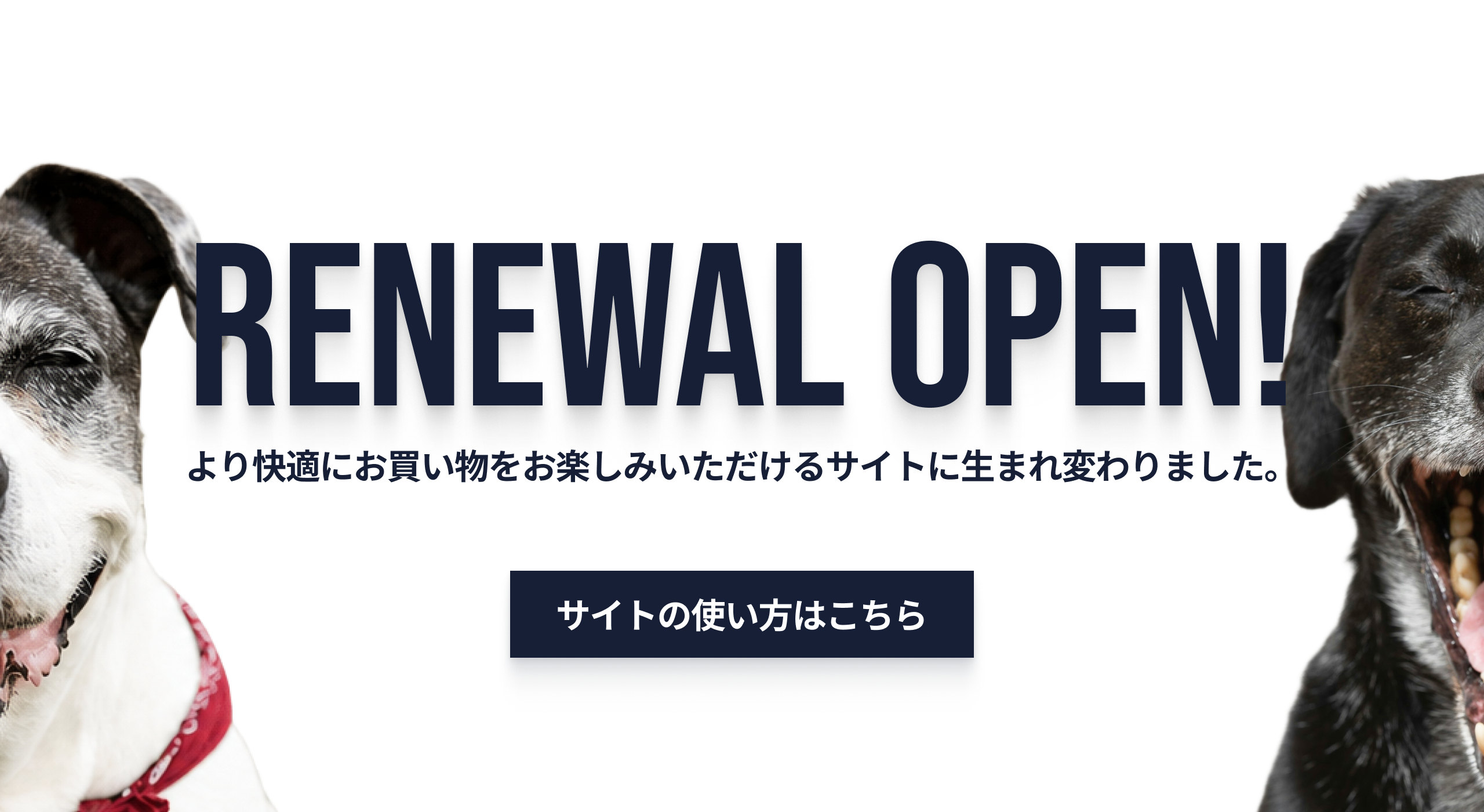 POCHIリニューアル!より快適に楽しめるサイトに生まれ変わりました