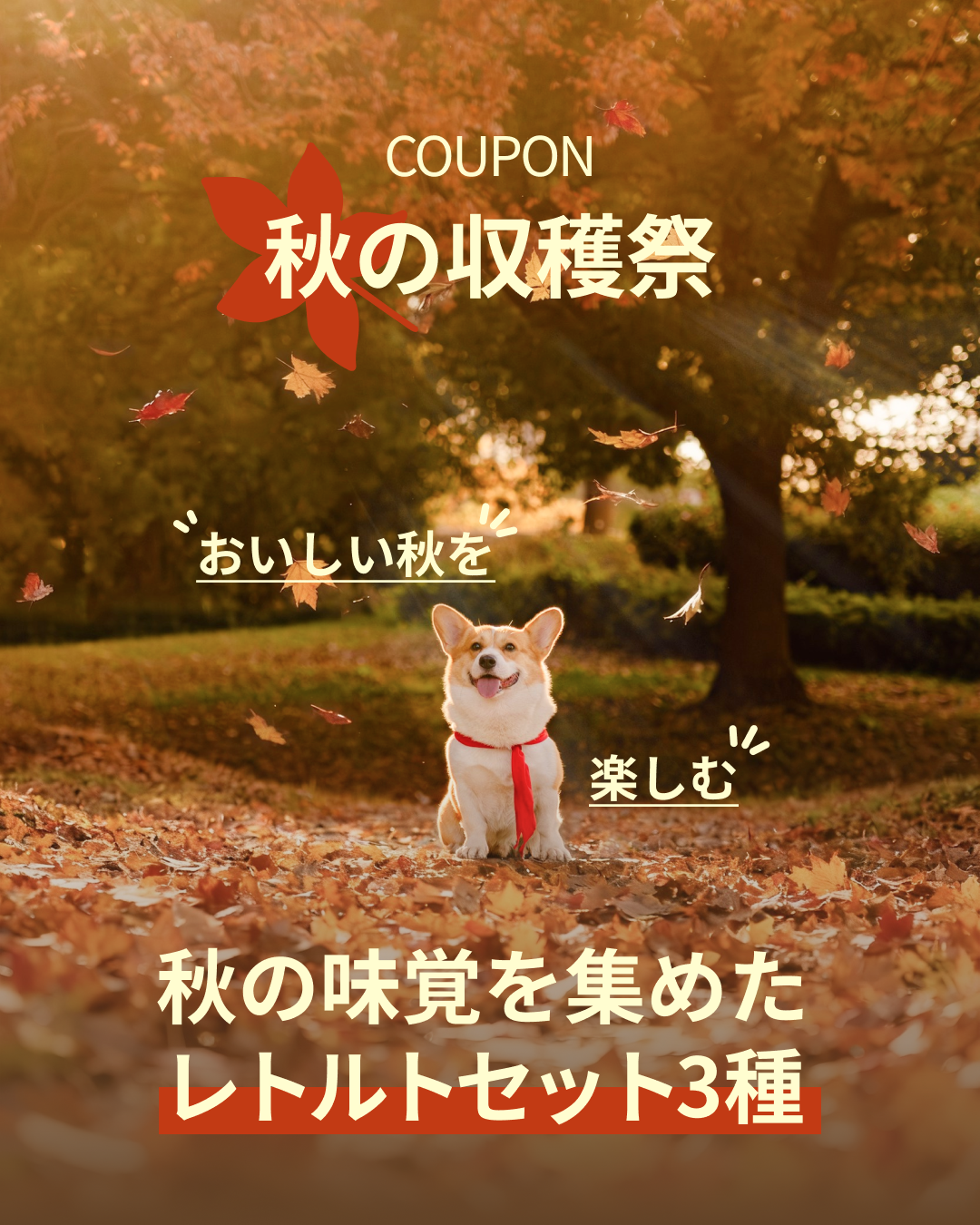プレミアムドッグフード専門店・通販 POCHI - ポチ公式サイト