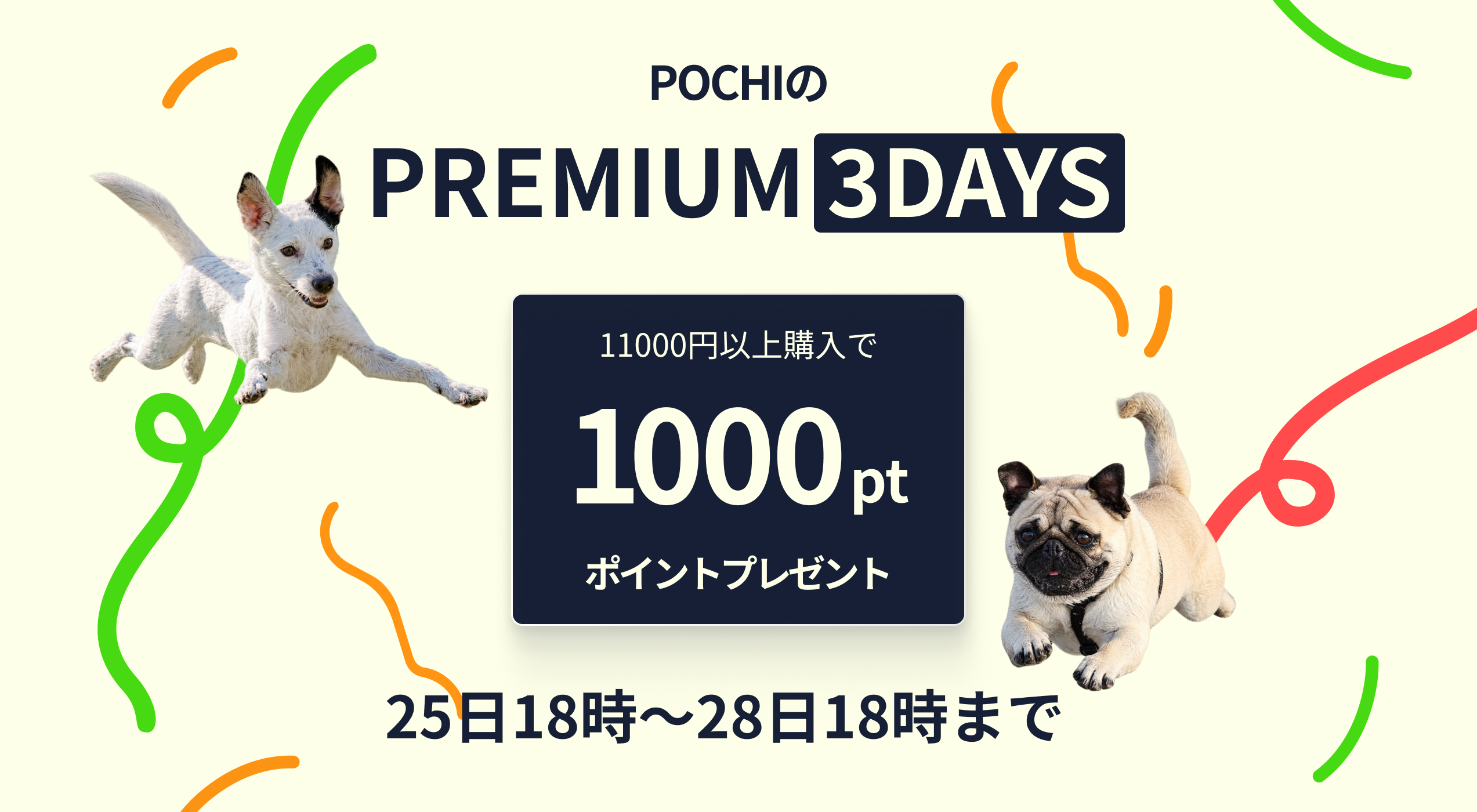 《POCHIのPREMIUM 3DAYS》11,000円以上購入で1000ポイント全員プレゼント！