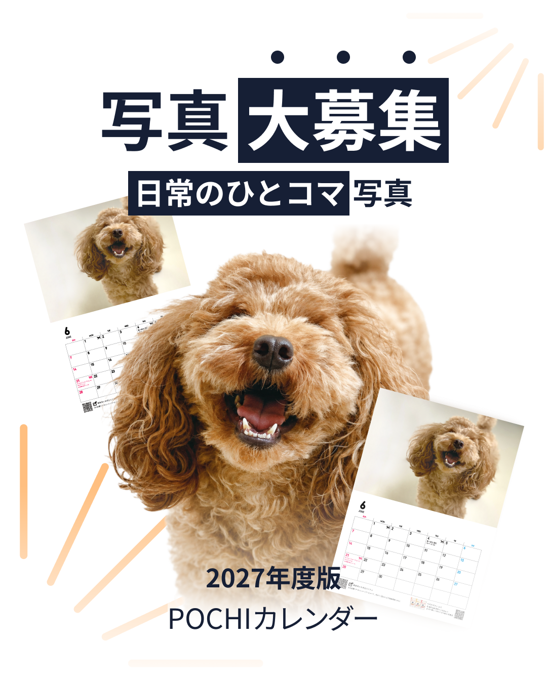 プレミアムドッグフード専門店・通販 POCHI - ポチ公式サイト