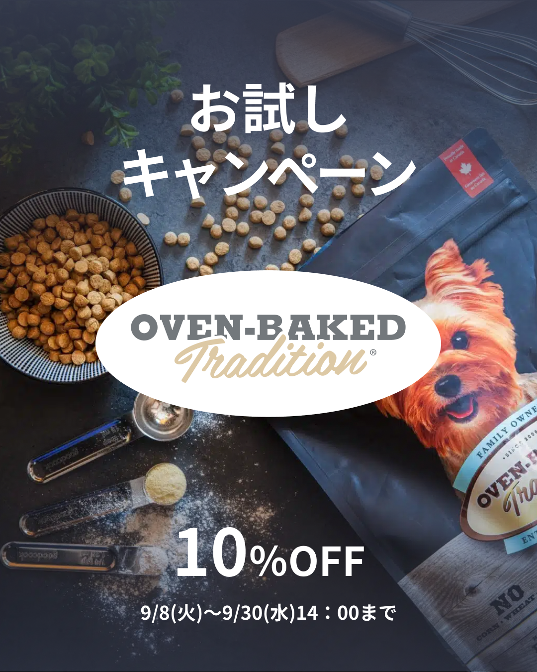 プレミアムドッグフード専門店・通販 POCHI - ポチ公式サイト