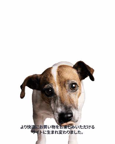 プレミアムドッグフード専門店・通販 POCHI - ポチ公式サイト