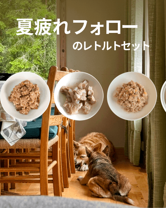 プレミアムドッグフード専門店・通販 POCHI - ポチ公式サイト