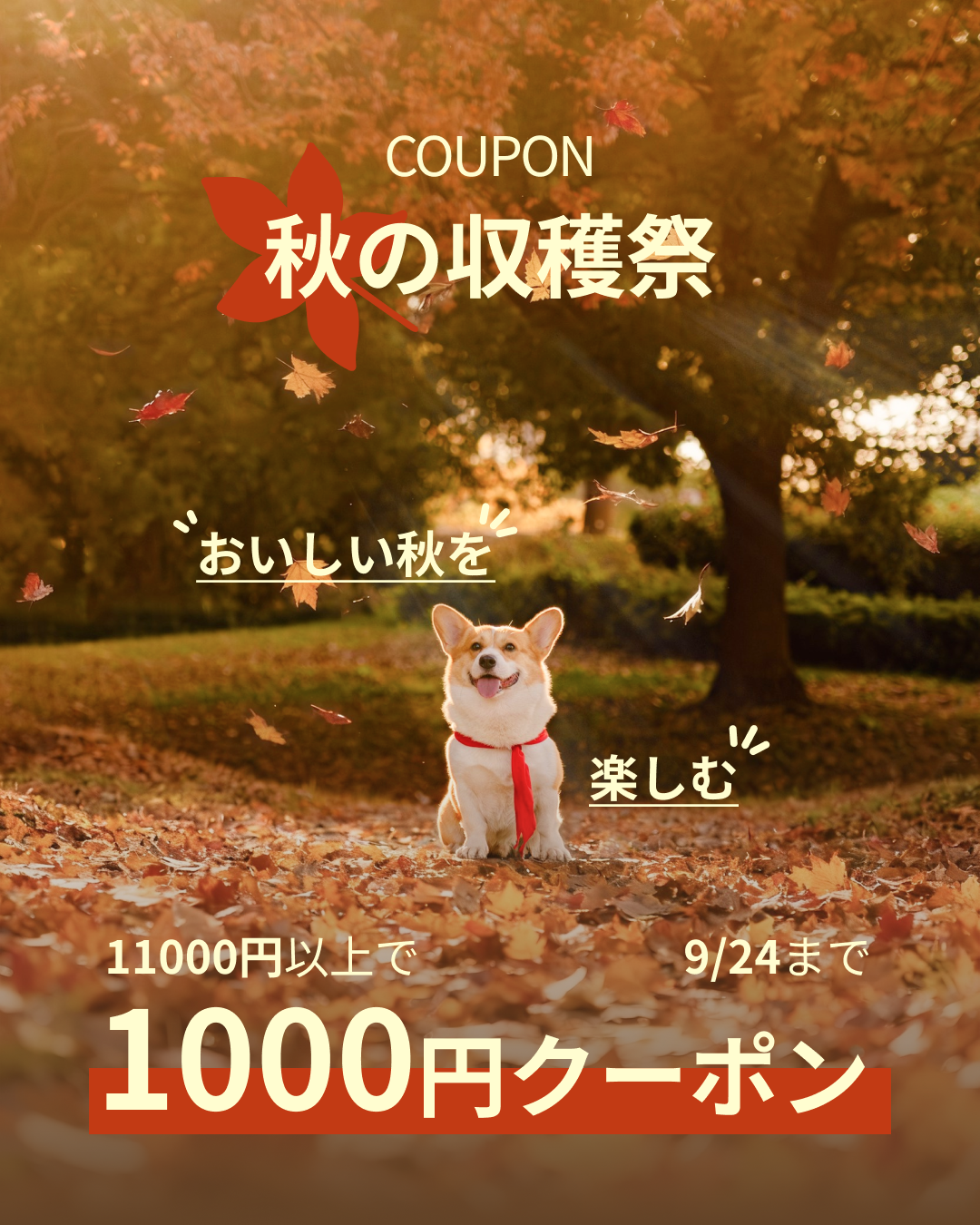 プレミアムドッグフード専門店・通販 POCHI - ポチ公式サイト